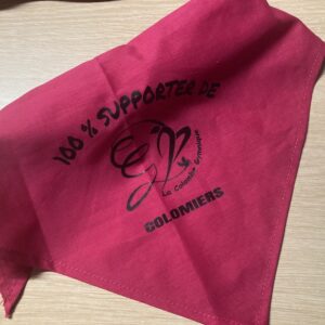 Foulard supporter